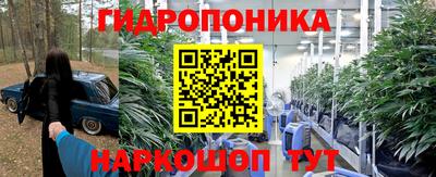 стафф Славянск-на-Кубани