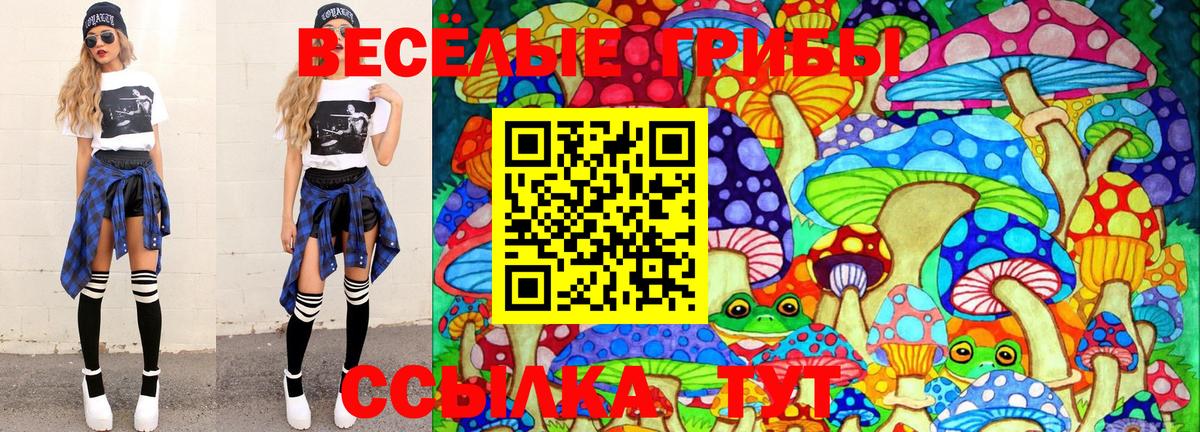 Псилоцибиновые грибы Psilocybine cubensis Новодвинск