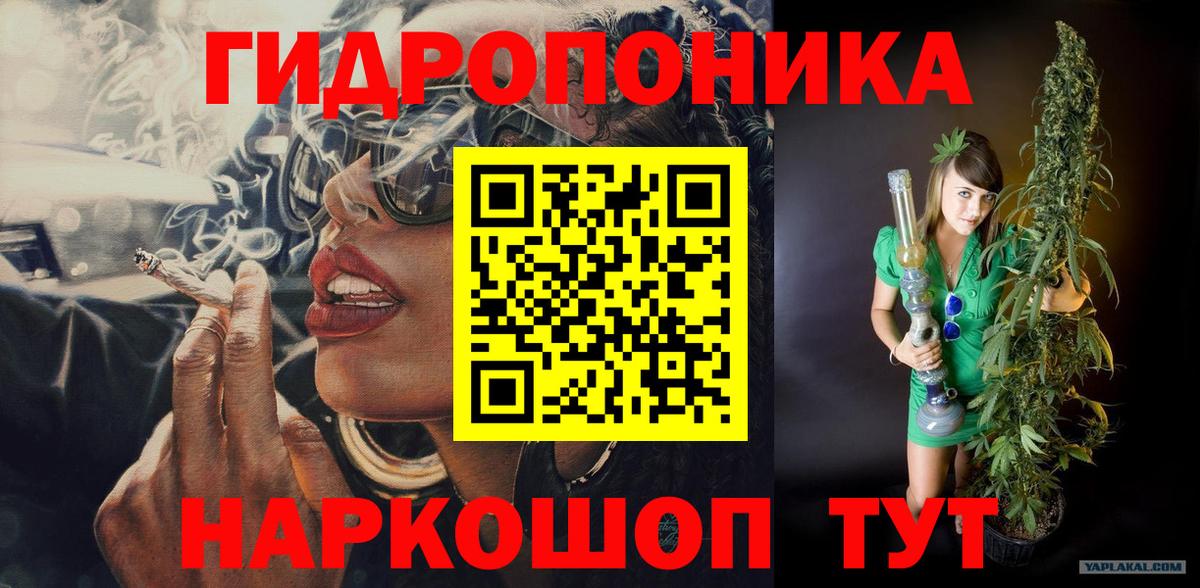 МАРИХУАНА Amnesia  Вход с VPN  Новодвинск  Марихуана индика 